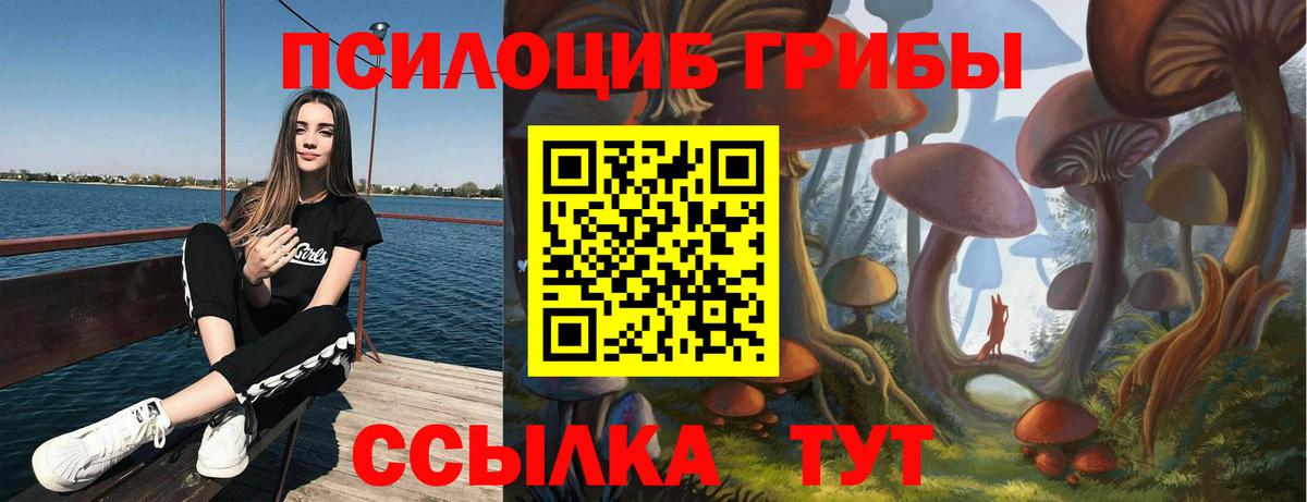 Междуреченск  где купить   Псилоцибиновые грибы Psilocybe  Вход с VPN  Галлюциногенные грибы мухоморы 